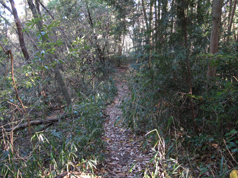 20131223hike (362)